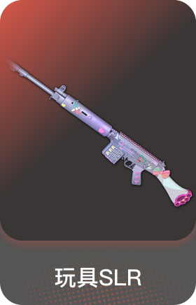 玩具SLR