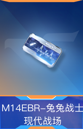 M14EBR-兔兔战士-现代战场