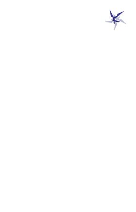 琴诺-悖谬