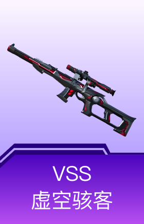VSS-虚空骇客
