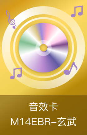 M14EBR-玄武音效卡