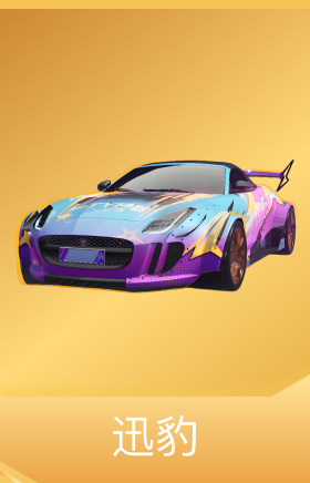 迅豹