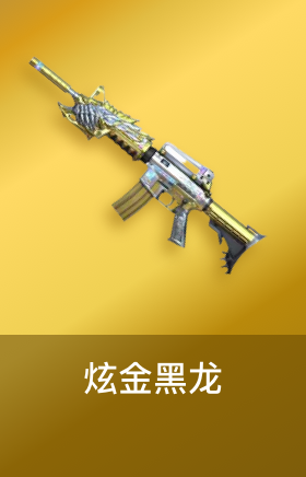 炫金黑龙