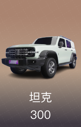 坦克 300