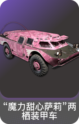 "魔力甜心萨莉"两栖装甲车