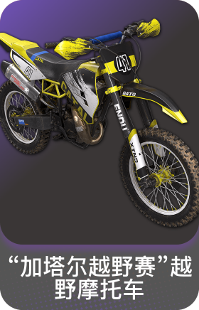 "加塔尔越野赛"越野摩托车