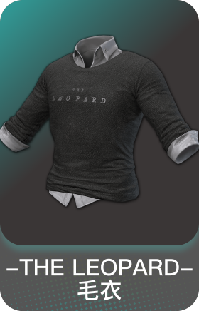 "THE LEOPARD"毛衣