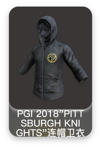 PGI 2018"PITTSBURGH KNIGHTS"连帽