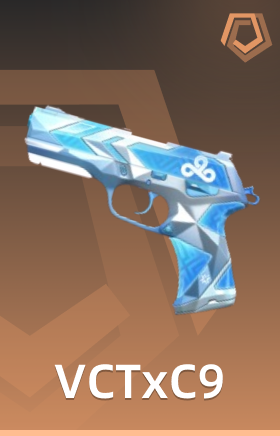 VCTxC9 制式手枪