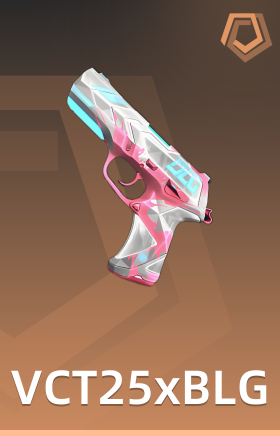 VCT25xBLG 制式手枪