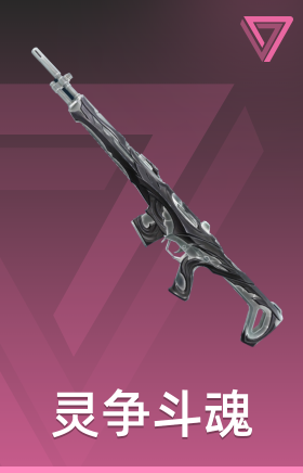 灵争斗魂 捍卫者