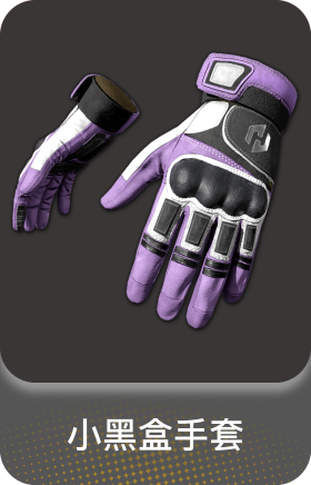 小黑盒手套