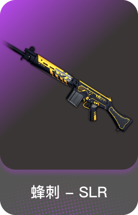 蜂刺SLR