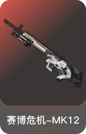 赛博危机-MK12