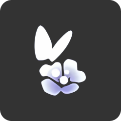 蝴蝶与花发饰礼包