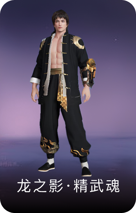 龙之影·精武魂