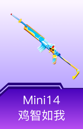 Mini14-鸡智如我