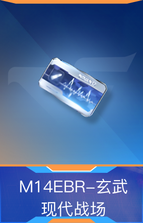 M14EBR-玄武-现代战场