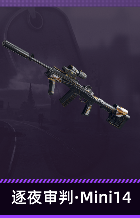 逐夜审判·Mini14